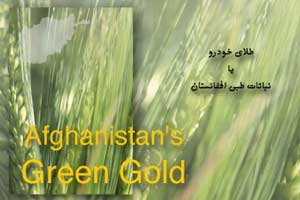 کتاب نباتات طبی افغانستان